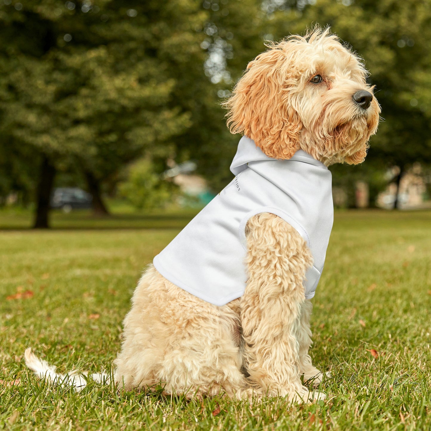 Pet Hoodie